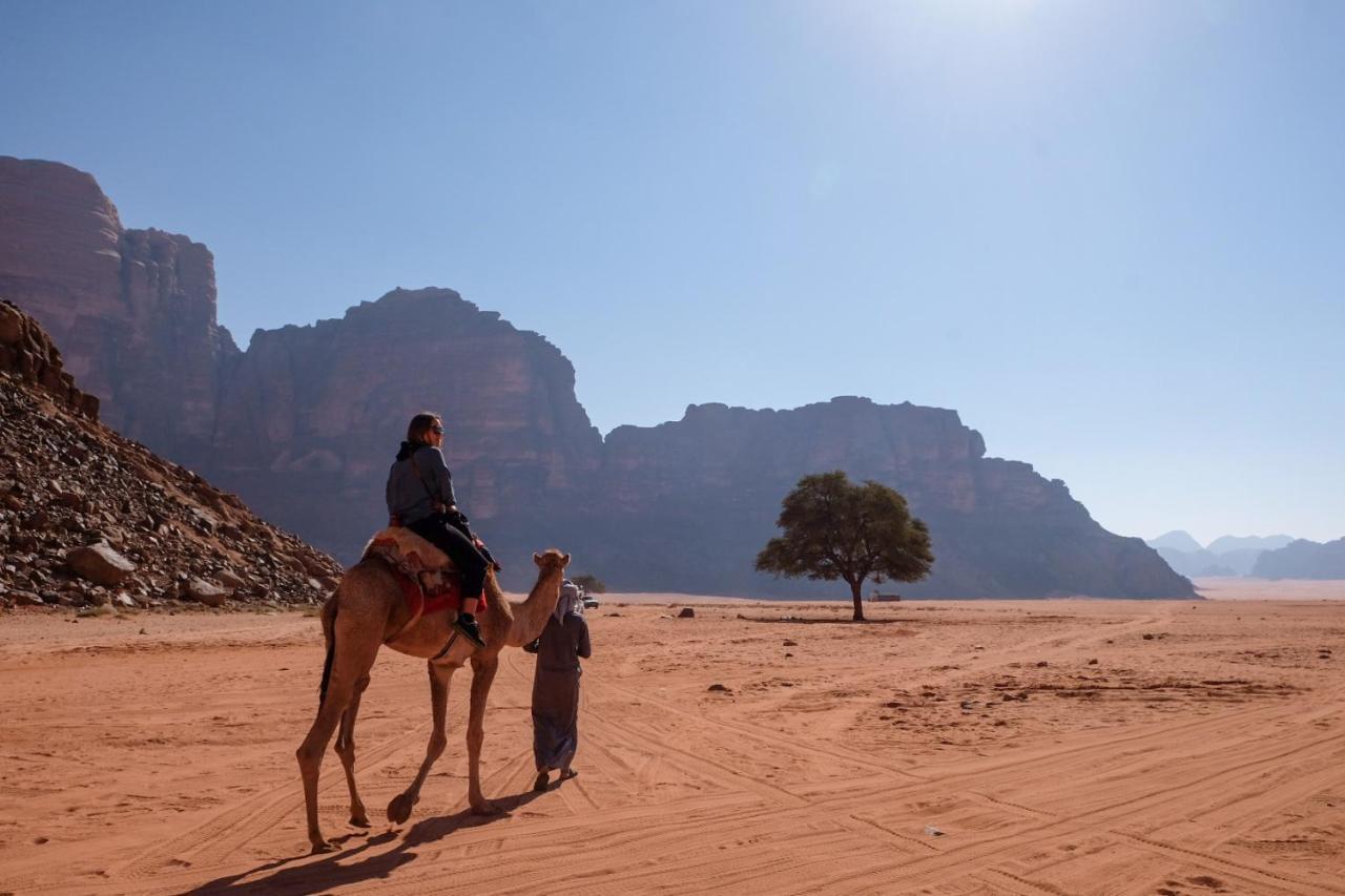 Wadi Rum Bedouin Camp And Desert Tours Ngoại thất bức ảnh