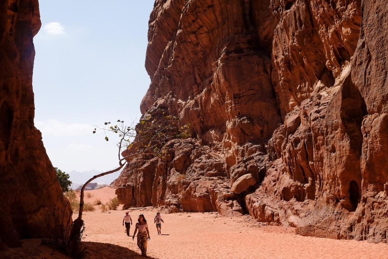 Wadi Rum Bedouin Camp And Desert Tours Ngoại thất bức ảnh