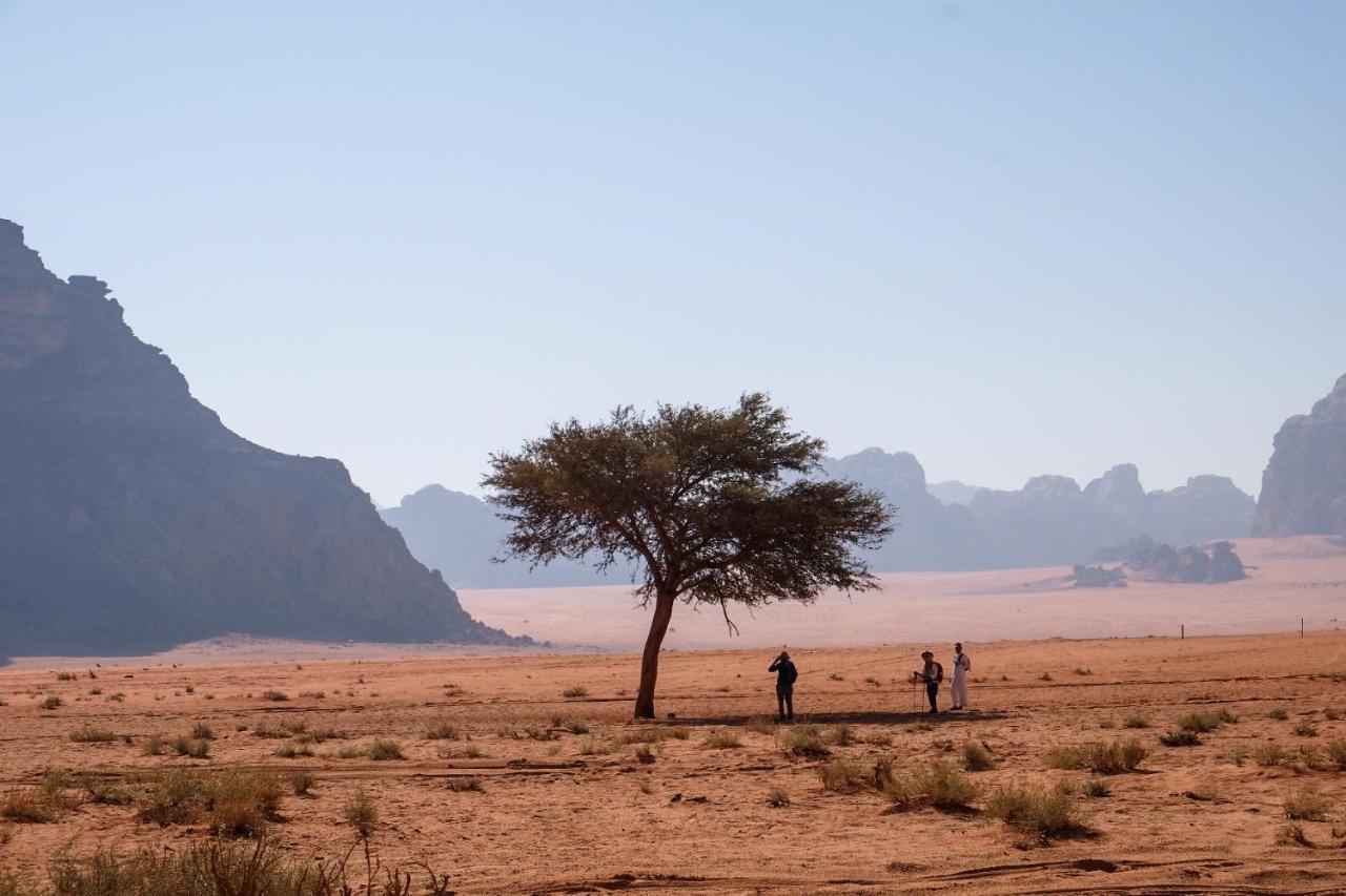 Wadi Rum Bedouin Camp And Desert Tours Ngoại thất bức ảnh